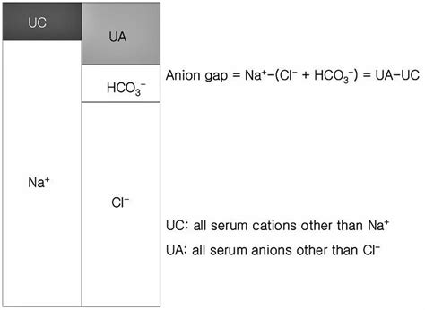 agap lab|how to lower anion gap.
